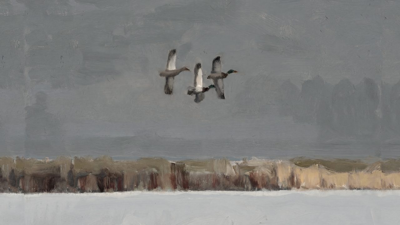 Nautical Frame TV Art, Coastal Oil Painting (Ducks Flying over Marsh)