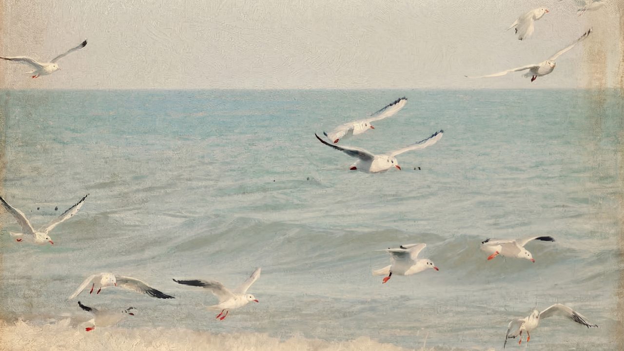 Nautical Frame TV Art, Coastal Oil Painting (Seagulls Over Calm Sea)