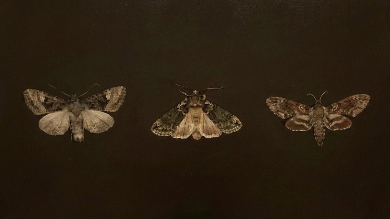 Fall Frame TV Art, Vintage Autumn Oil Painting (Three Moths on Black 2)