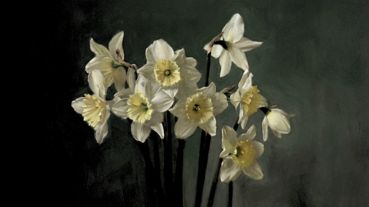 Dark Academia Frame TV Art, Moody Vintage Oil Painting (White Daffodils on Dark)