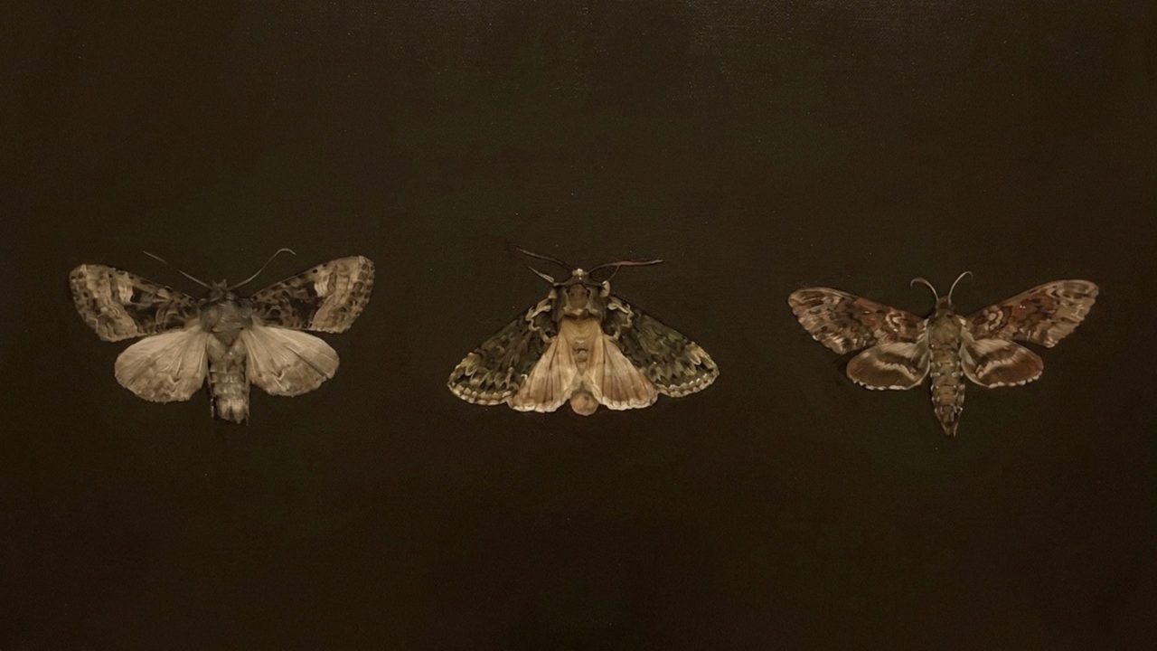 Halloween Frame TV Art, Vintage Moody Oil Painting (Three Moths on Dark)